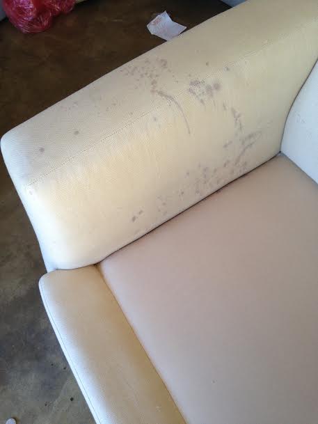 Remove Stains on Couch