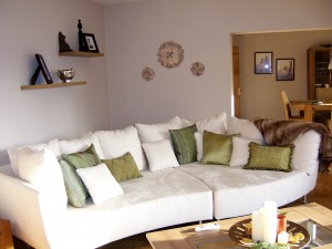 Clean Sofa in Living Room