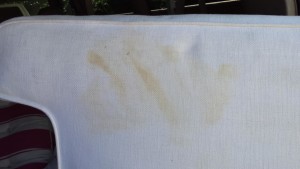 Clean Stains on Couch