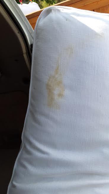 Clean Stains on Couch 5