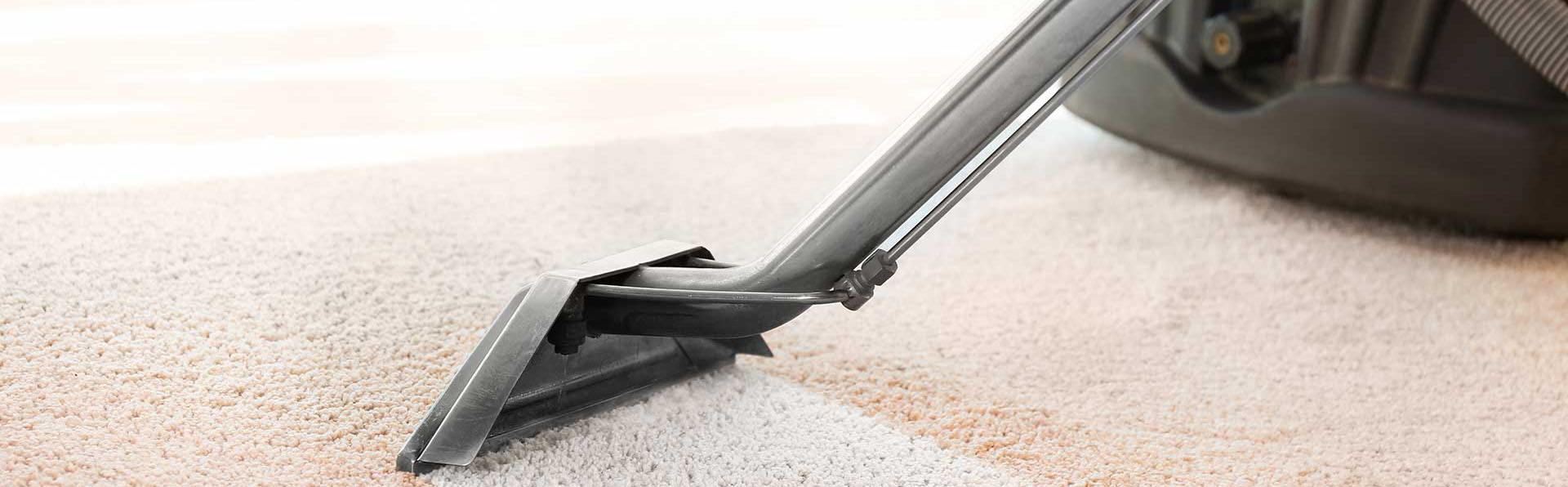 fibercare dallas professional carpet cleaning