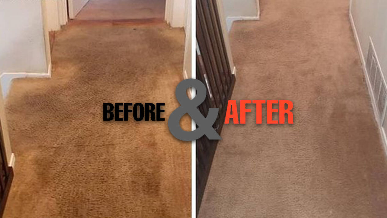 stain removal from carpet before and after